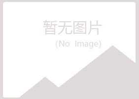 鹤岗兴山友易咨询有限公司